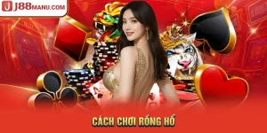 Cách chơi rồng hổ