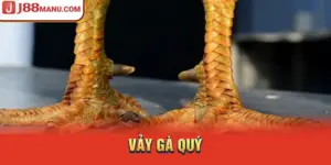 Vảy gà quý